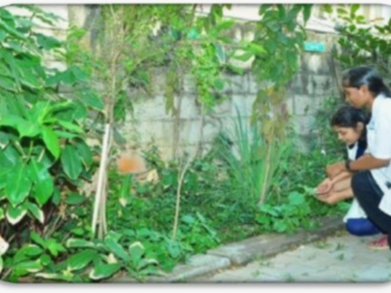 college-infrastructure-6